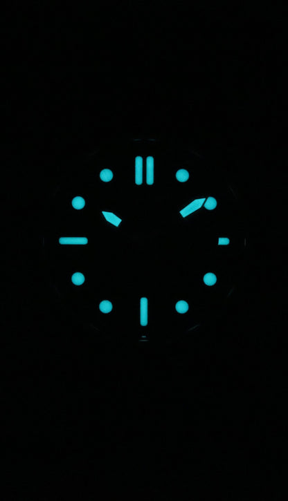 Citizen Marine Eco-Drive Stainless Steel Green Dial AW1811-82X 100M Men's Watch