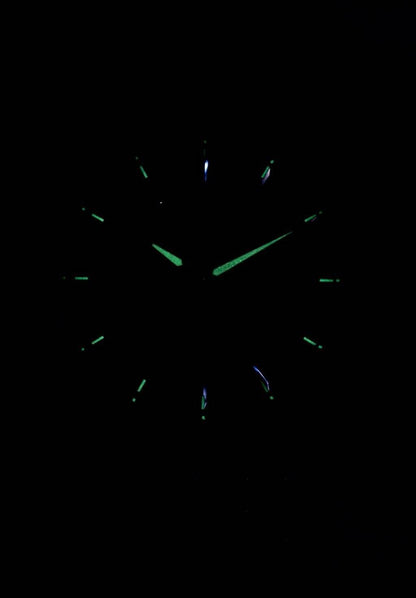 Citizen Quartz BF2011-51E Men's Watch