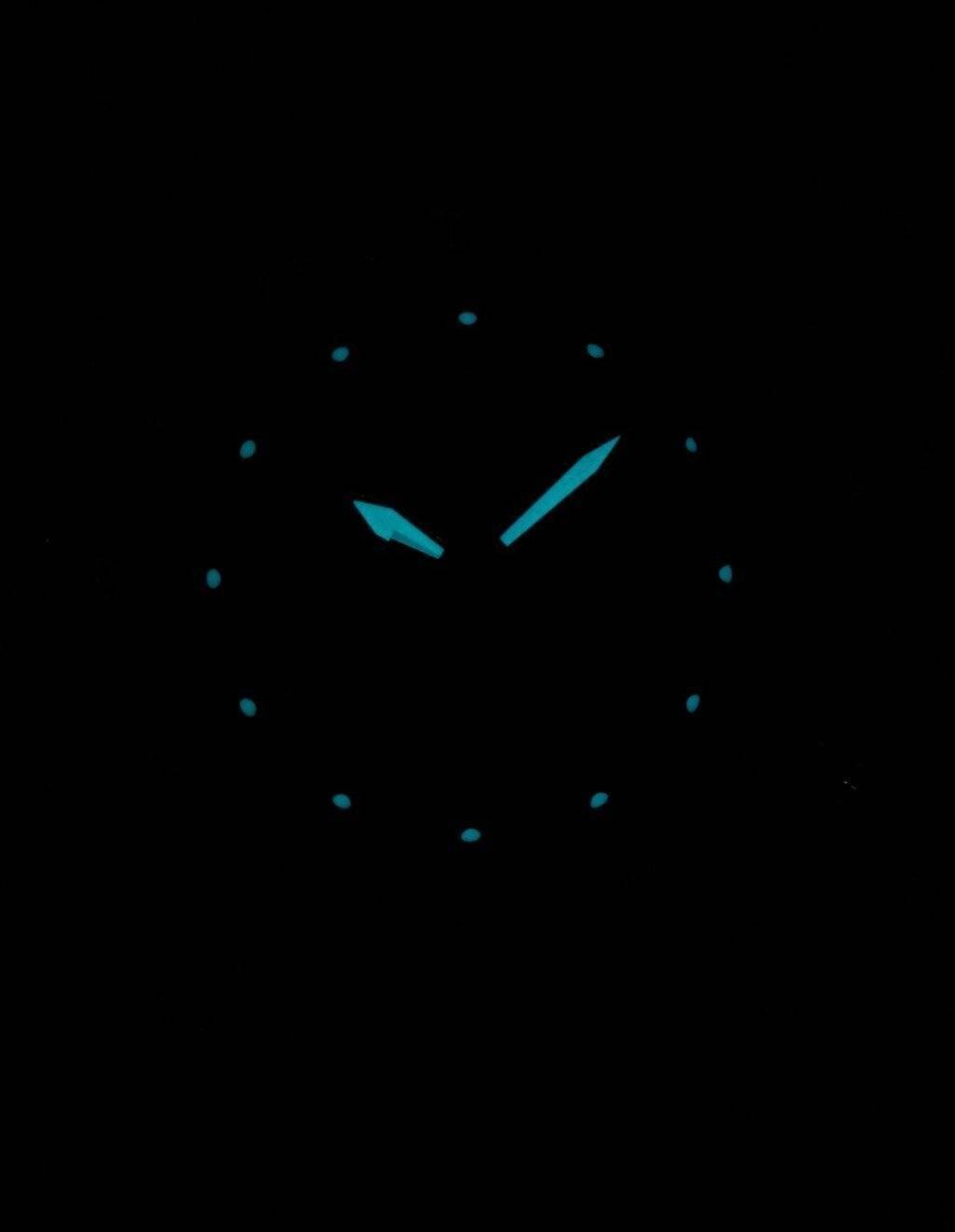 Citizen Promaster Eco-Drive Power Reserve BN4044-15E Men's Watch