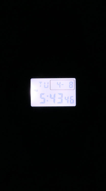 Casio G-Shock Digital Bio-Based Resin Quartz DW-5600RL-1 200M Men's Watch