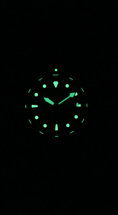 Ratio FreeDiver Sapphire Stainless Steel Black Dial Automatic RTFL831 200M Women's Watch