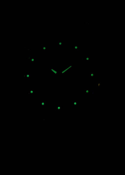 Seiko 5 Automatic 21 Jewels SNK621 SNK621K1 SNK621K Men's Watch