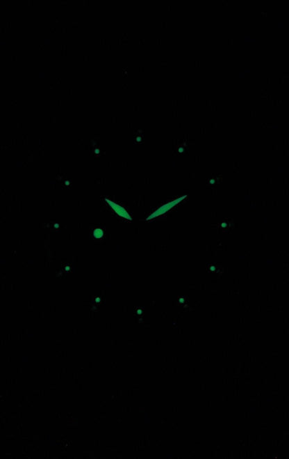 Seiko 5 Automatic  SNK809 SNK809K1 SNK809K  21 Jewel  Men's Watch