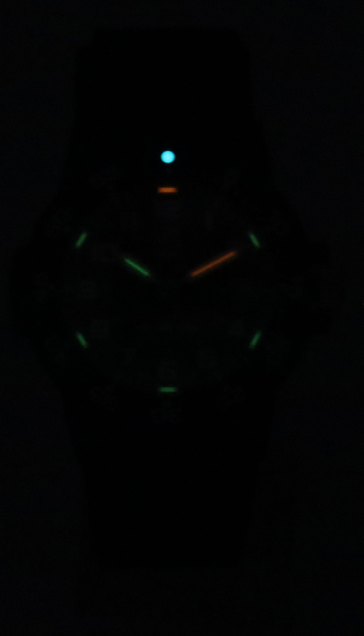 Luminox Leatherback Sea Turtle Silicone Strap Black Dial Quartz XS.0301.L 100M Men's Watch