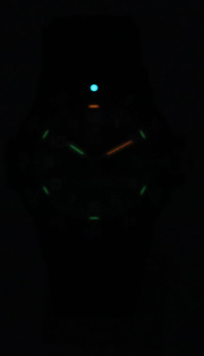 Luminox Leatherback Sea Turtle Silicone Strap Black Dial Quartz XS.0301.L 100M Men's Watch