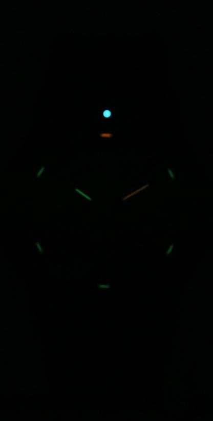 Luminox Leatherback Sea Turtle Silicone Strap Black Dial Quartz XS.0321.BO.L 100M Men's Watch
