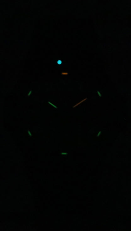 Luminox Leatherback Sea Turtle Giant PU Strap Black Dial Quartz XS.0330 100M Men's Watch