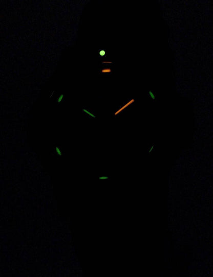 Luminox Leatherback Sea Turtle XS.0333 Quartz Men's Watch
